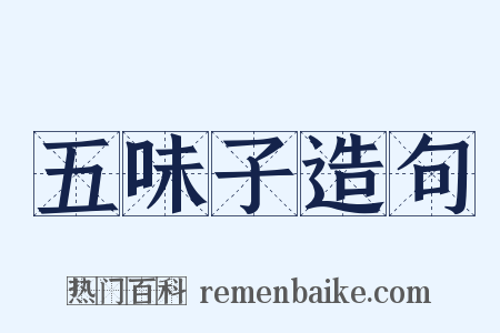 五味子造句是什么意思的图片